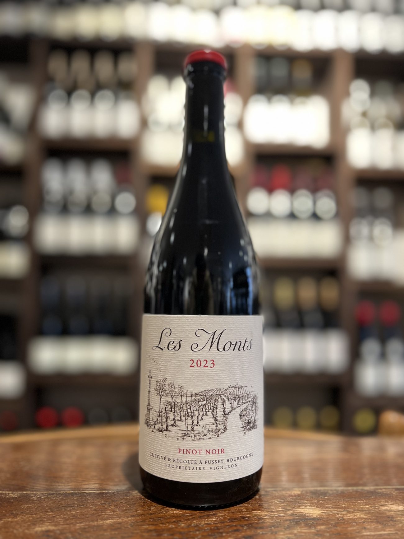 Hautes Côtes de Beaune Pinot Noir “Les Crucibées” 2023